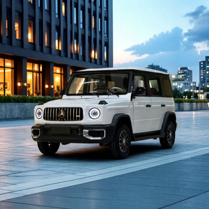Vehículo SUV Todoterreno de 4 Puertas con Carrocería Totalmente Metálica, Eléctrico, para Desplazamientos Diarios y Aventuras al Aire Libre - Product Image 4