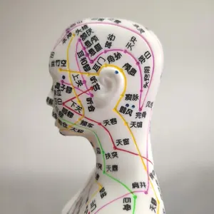 DARHMMY 50CM Female Human Acupuncture Teaching Model For Medical Science