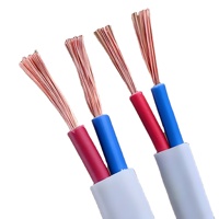 OEM ODM Service RVVB Doppel-Flachkabel H05VVH2-F Anpassbare Adernzahl und Größe Flaches Stromkabel von Zertifizierter Fabrik