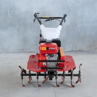Mini Motocultor 2WD con Motor de Gasolina de 7hp para Campos Agrícolas, Huertos, Jardines y Huertos de Verduras con Implemento Gratuito