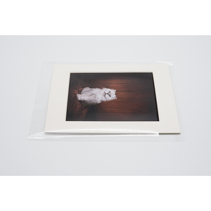 <span class=keywords><strong>Livre</strong></span> en carton sans acide imprimé à l'encre avec couverture rigide revêtement UV impression <span class=keywords><strong>numérique</strong></span> cadre <span class=keywords><strong>photo</strong></span> de célébrité décorative - Product Image 5