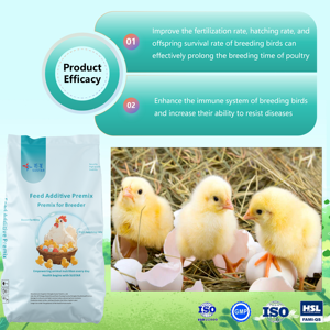 Additifs Alimentaires Spécialisés pour Poules Pondeuses : Améliore la Fertilisation, Augmente le Taux de Production d'Œufs, Prémélange pour l'Élevage de Poulets - Product Image 3