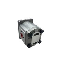 Pompe hydraulique série CBF CBF-F412.5-ALP CBFP4Z1-25/20 BFLRL-F CBFLB2063 50 40/2040 32 20-AFHL Pompe à engrenages hydraulique