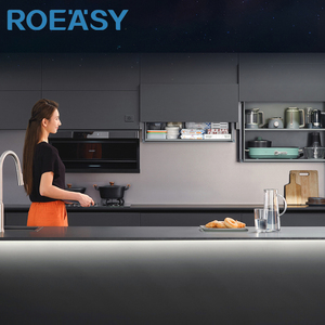 ROEASY Mécanisme intelligent d'armoire de levage Slide-UP01-S Rangement de <span class=keywords><strong>cuisine</strong></span> Organozer Système de levage d'armoire - Product Image 1