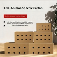 Boîte d'expédition en carton ondulé robuste personnalisée avec trous d'aération, boîte de conditionnement respirante pour fruits
