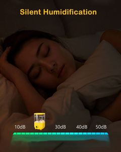 Penjualan laris nosel ganda kabut diam USB pelembap udara atomisasi pelembap hidrasi hidrasi - Product Image 2
