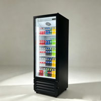 Réfrigérateur commercial à porte vitrée simple, à chargement rapide, pour boissons, idéal pour les magasins de proximité et les cafés