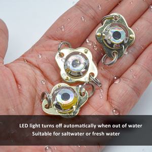 LED Onder Water Vissen Licht LED Deep Fishing Attraction Leurres Intelligent Mini Led Squid Fishing Lamp Baits Alpina Pucken Blink - Product Image 4