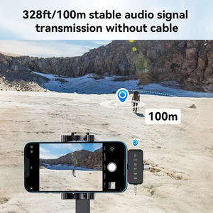 ポータブル3-in-1デュアルマイクワイヤレスラペルマイクタイプCノイズキャンセルラヴァリエマイク防風 - Product Image 5