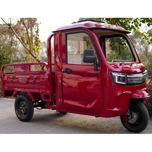 Entrepôt allemand EEC 2000W DDP Cargo Trike COC CE Vélo à trois roues <span class=keywords><strong>Tricycle</strong></span> électrique Tuktuk Cabine pour le conducteur - Product Image 3