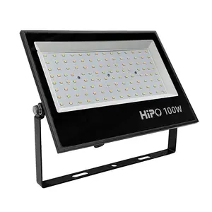 China guangdong factory Supplier high brightness 30 watt 50 watt 100 watt IP65 outdoor LED flood light with moderate price