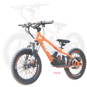 BMX Toddler 12 16 Inch Wheel Park Road Pump Track Race Cycle <strong>Girl</strong> Boy Baby Child Children Kids Balance <strong>Bike</strong> Electric - Product Image 5