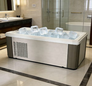 Hot Sale Ice <b>Bath</b> Cold Plunge Tub White Acrylic All in One with Chiller Filter and LED <b>Light</b> - Product Image 1