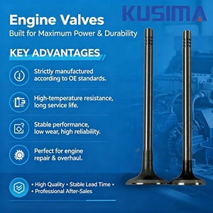Soupape d'admission et d'échappement du moteur pour <span class=keywords><strong>PEUGEOT</strong></span> TRAVELLER BUS 1.5 <span class=keywords><strong>DIESEL</strong></span> pour Citroën 1.5 BlueHDi - DV5R  9814152480  9814153480 - Product Image 5