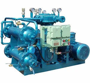 Yüksek basınç CNG LPG doğal gaz propan kompresör endüstriyel basınçlı pistonlu pistonlu kompresörler
