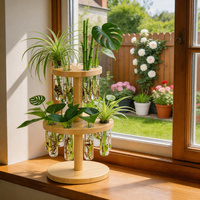 Support de propagation de plantes en tube à essai, en bambou, à 2 niveaux, pour la culture hydroponique, support de tubes en verre pour boutures d'intérieur et décoration de bureau