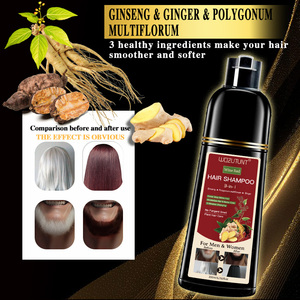 Marque privée Shampooing 3 en 1 pour les soins des cheveux Teinture et soin pour les femmes Nouvelle arrivée Shampooing teinture pour les cheveux pour la coiffure - Product Image 3