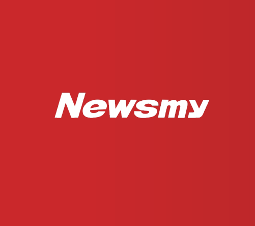 Hunan Newsmy New Energy Technology Co.,Ltd logo