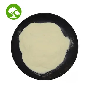 Manufacturer Directly Supply Food Grade Sodium Caseinate With Best Price