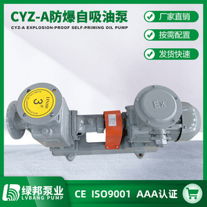 Bomba de Tornillo Autocebante Horizontal Tipo CYZ-A, Bomba de Aceite Autocebante, a Prueba de Explosiones, Precio Competitivo, Fabricada por CYZ-A - Product Image 4