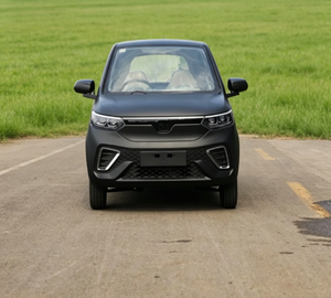 Mini SUV Eléctrico <span class=keywords><strong>de</strong></span> Cuatro Plazas, Vehículo Eléctrico <span class=keywords><strong>de</strong></span> Nueva Energía <span class=keywords><strong>con</strong></span> Características <span class=keywords><strong>de</strong></span> Seguridad Avanzadas, 45 km/<span class=keywords><strong>h</strong></span>, Certificado EEC - Product Image 5
