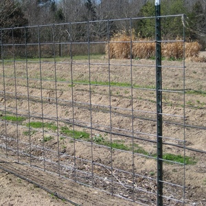 16' Livestock <strong>Panels</strong> Heavy Galvanized <strong>Hog</strong> Wire Fencing - Product Image 3