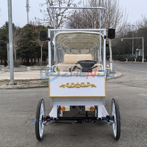 Nouvelle voiture blanche avec sièges blancs, calèche électrique de tourisme, calèche de mariage à vendre, calèche de tourisme - Product Image 4