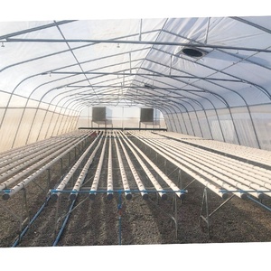 Invernadero de película polivinílica de 200 micras, túnel barato con sistema hidropónico para verduras - Product Image 5