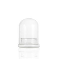 Vitrine en verre transparent artisanal à double compartiment pour bouteilles de mousse, destinée aux micro-paysages standard cultivés en environnements fermés