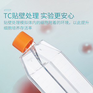 ขวดเพาะเลี้ยงเซลล์คอร์นนิ่ง T25 แบบมีช่องระบายอากาศ T75 แบบมีช่องปิดผนึก ผ่านการฆ่าเชื้อด้วยรังสี ดีไซน์โปร่งใส - Product Image 2