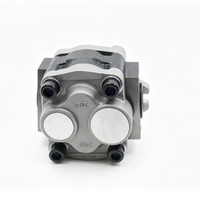 Pompe à engrenages hydraulique CBK-G427/CBK-G432/CBK-G436/CBK-F440/GBK-F444 SGP2-32A9H1-L365D 32 cm 5 CV 250 bars Connexion 1/4 pouce 1