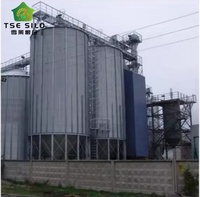 Silo Agricolo a Fondo a Tramoggia per Alimenti Zootecnici e Stoccaggio Grano, Capacità 100-2000 Tonnellate