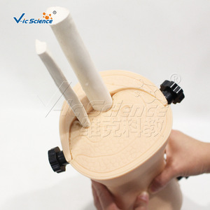 Modèle d'arthroscopie du genou ; Modèle pédagogique et de formation Vic Education - Product Image 4