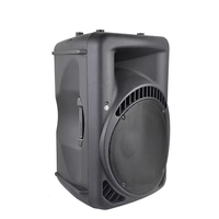 Grande puissance professionnelle BT haut-parleur extérieur chariot haut-parleur Audio Portable karaoké lecteur stéréo sons haut-parleur