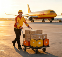 Logistique Intermodale Professionnelle Aérienne + Express Chine-UE DDP Livraison Porte-à-Porte Préparation Amazon FBA Stockage Étiquetage Retour Manutention Inversée