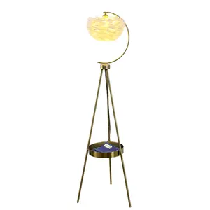 Europese Minimalistische Mode Indoor Decoratieve Kunst Moderne Verlichting Eenvoudige Stijl Veren Vloerlamp Voor Binnenshuis Woonkamer