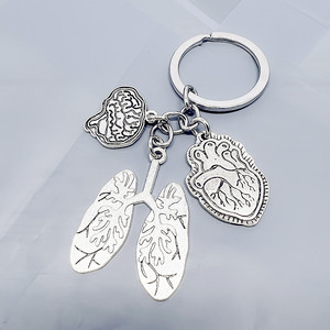 Llavero médico creativo de órgano humano personalidad divertida Corazón de Metal cerebro pulmón para enfermera Doctor llavero - Product Image 3