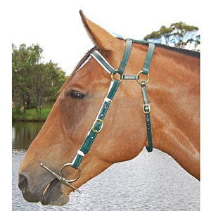 Brida de PVC para <span class=keywords><strong>Caballo</strong></span>, Estilo Ecuestre Occidental, Ajustable, Impermeable, Elegante y Personalizada, en Oferta - Product Image 6