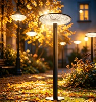 Lampes solaires LED de jardin 20W, contrôlées par PWM, télécommandées, à intensité variable, boîtier en aluminium, indice de protection IP65, blanc chaud, pour jardins