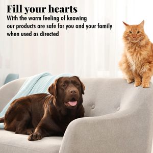 Confezione da 8 once da 3 forniture per animali da compagnia deodorante per ambienti solidi per agrumi domestici che assorbono l'odore fresco deodoranti deodoranti per ambienti - Product Image 5