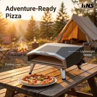Four à pizza à gaz de 16 pouces avec machine à pizza rotative électrique Grilles de barbecue professionnelles pour la cuisson de la pizza