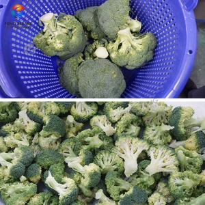 Machine de découpe automatique brevetée pour choux-fleurs et brocolis, capacité 2000-5000 kg/h, pour la découpe en fleurs de brocoli - Product Image 4