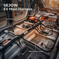Harnais de câblage automobile personnalisé, fabricant professionnel de solutions de câblage, câble OBD pour voiture, connecteurs dédiés