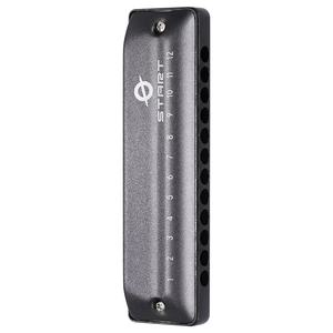 FEIFAN, armónica diatónica profesional de 12 agujeros, todo el órgano de boca clave para principiantes y estudiantes, regalo perfecto para adultos - Product Image 1