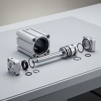 Cylindre pneumatique compact et fin de la série SDA, corps en aluminium, double action, actionneur linéaire pour l'automatisation industrielle