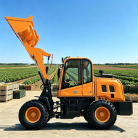 Produit en promotion : Mini-chargeuse Euro 5 CE EPA, chargeuse hydraulique à roues pour vergers, travaux agricoles, aménagement paysager et jardinage, chargeuse à roues diesel