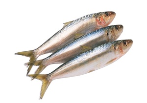 Fabrication professionnelle 2026 de produits <span class=keywords><strong>en</strong></span> conserve, fruits de mer <span class=keywords><strong>en</strong></span> conserve, sardines <span class=keywords><strong>en</strong></span> conserve dans l'huile végétale - Product Image 4