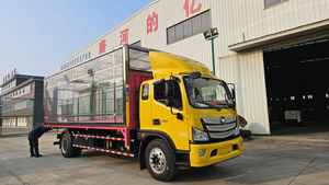 Camion Foton 4x2 à ailes battantes, tout neuf |   Camionnette à benne basculante robuste à vendre - Product Image 4