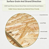 Panneau OSB3 (Oriented Strand Board) 4x8 pieds pour projets de modification de murs et de sols de maisons préfabriquées en conteneurs