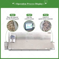 Instant Explosie Groente Transportband Bevriezen Flash Fish Freeze Quick Vriezer Machine Kip Koeltunnel